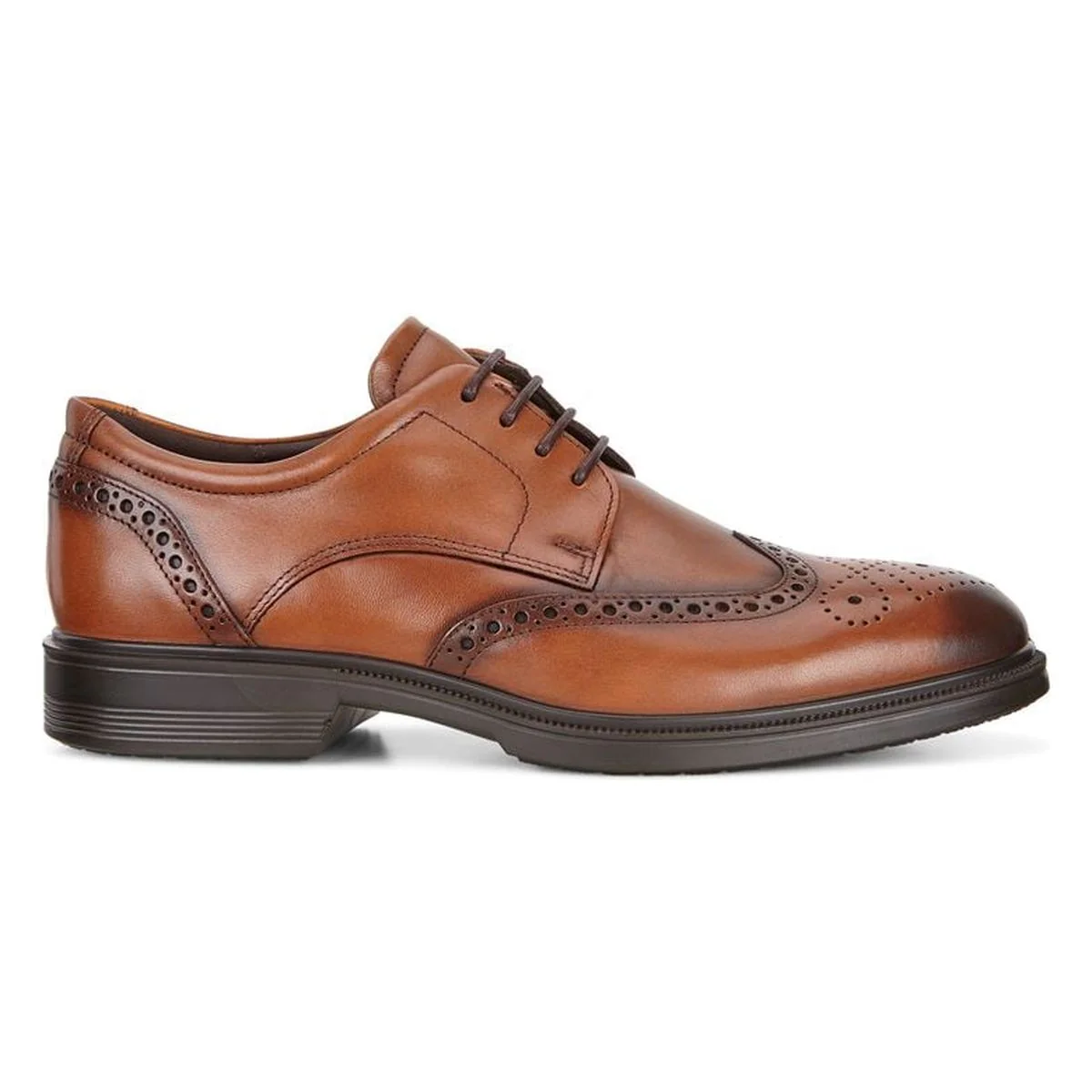 Ecco Lisbon Brogue Men's Shoe in Amber - Image 5