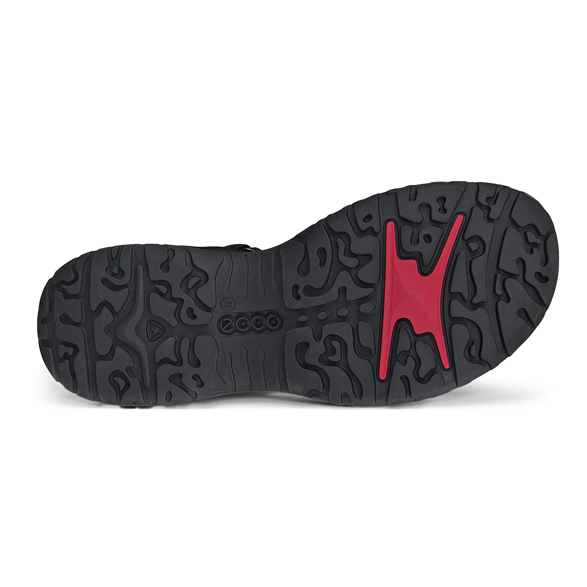 Offroad Roam Women's Sandal - Image 4